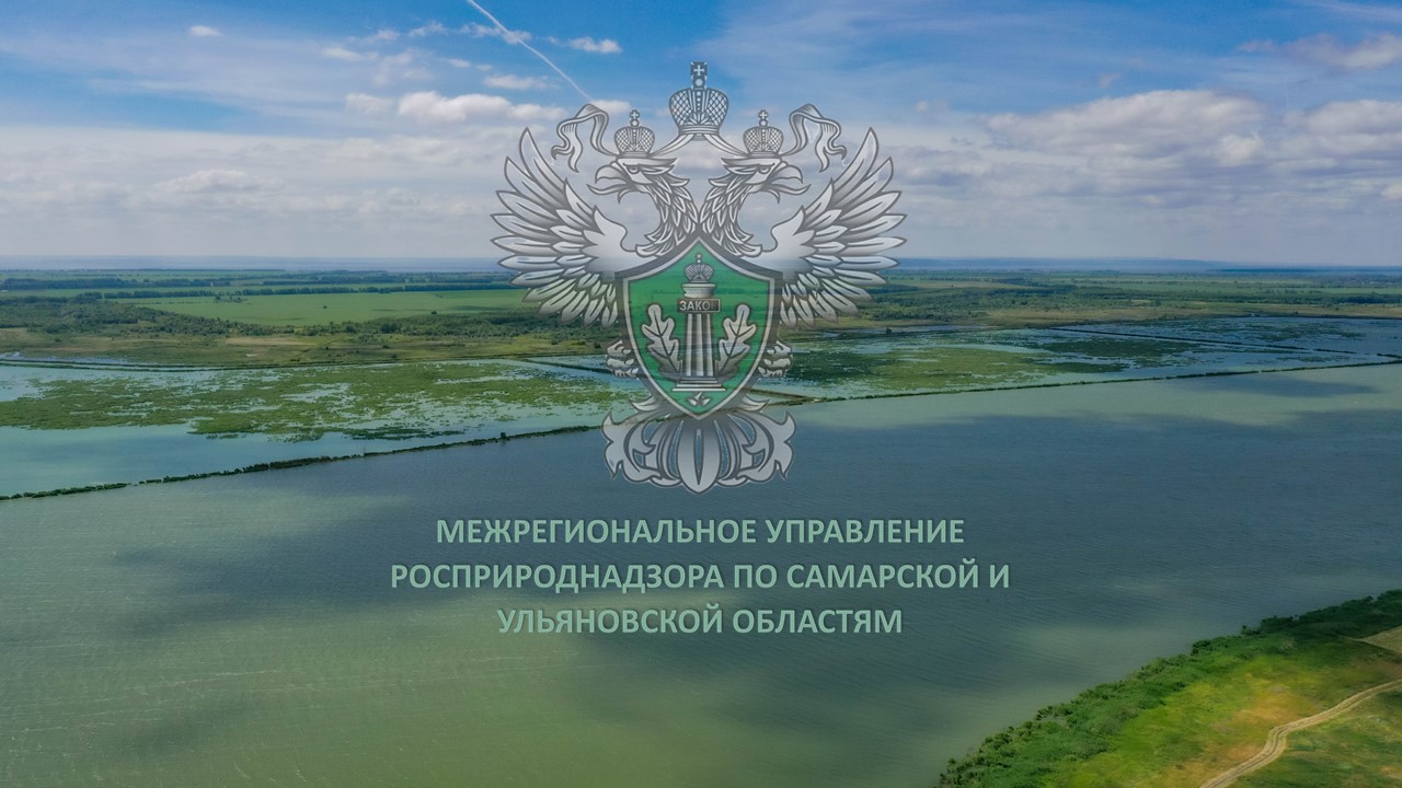 Суд встал на сторону Росприроднадзора в споре с АО «СНПЗ»