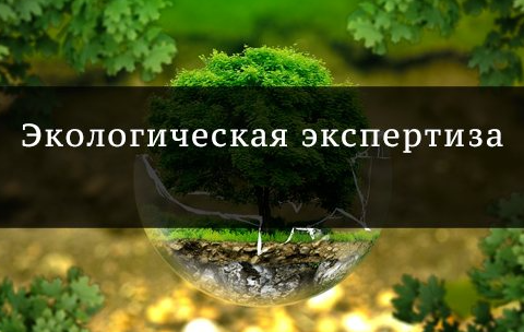 Об организации и проведении ГЭЭ «Реконструкция магазина в п. Иволгинск Иволгинского района Республики Бурятия» 