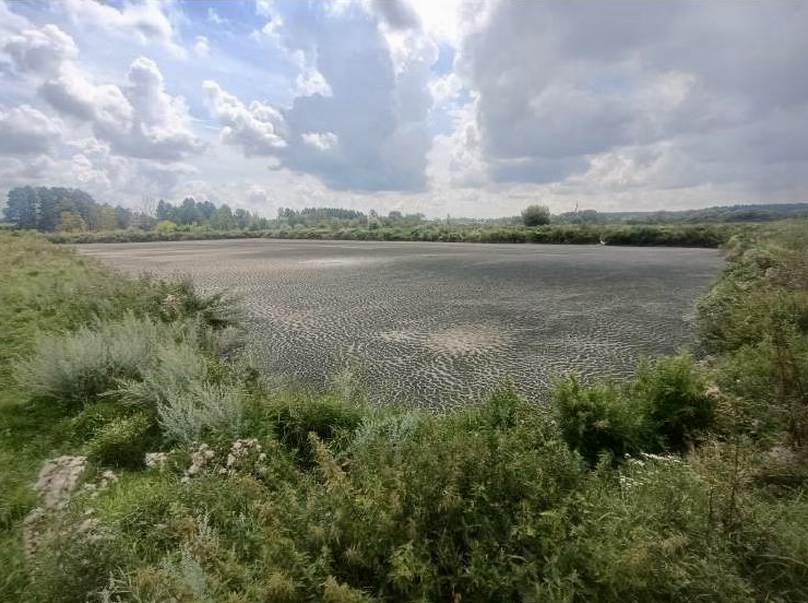 По результатам выездного обследования акватории и водоохранной зоны реки Судость в Почепском районе Брянской области в адрес ООО «Почеп-Молоко» объявлено предостережение