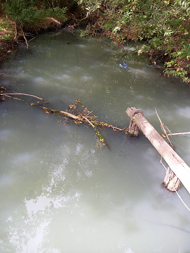 Арбитражный суд Центрального округа обязал Белгородский областной водоканал возместить вред, причиненный р. Тихая Сосна, в размере более 4 млн. рублей