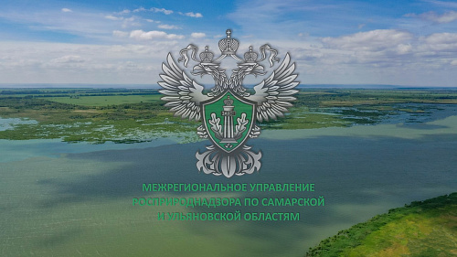 О расширенной ответственности производителей и импортёров товаров и упаковки (РОП)