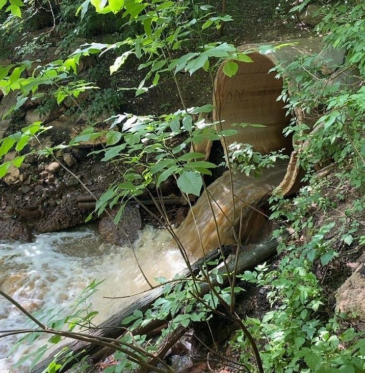 Администрация Автозаводского района Нижнего Новгорода привлечена к ответственности за нарушение Водного кодекса РФ