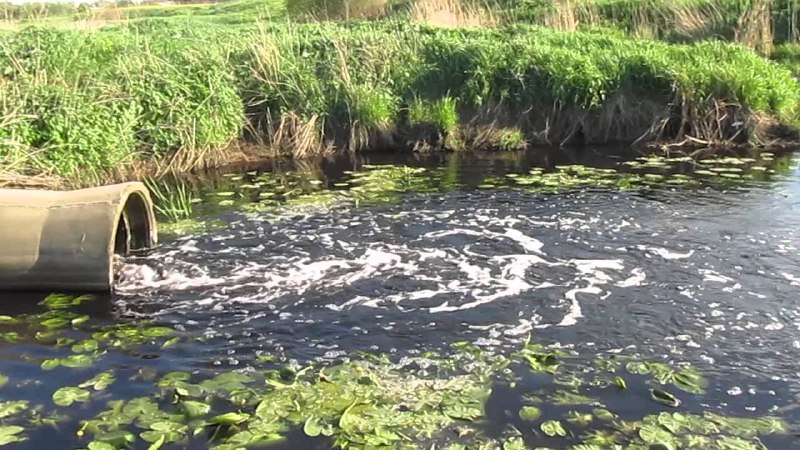 ГУП СО «Облводоресурс» нарушает природоохранное законодательство