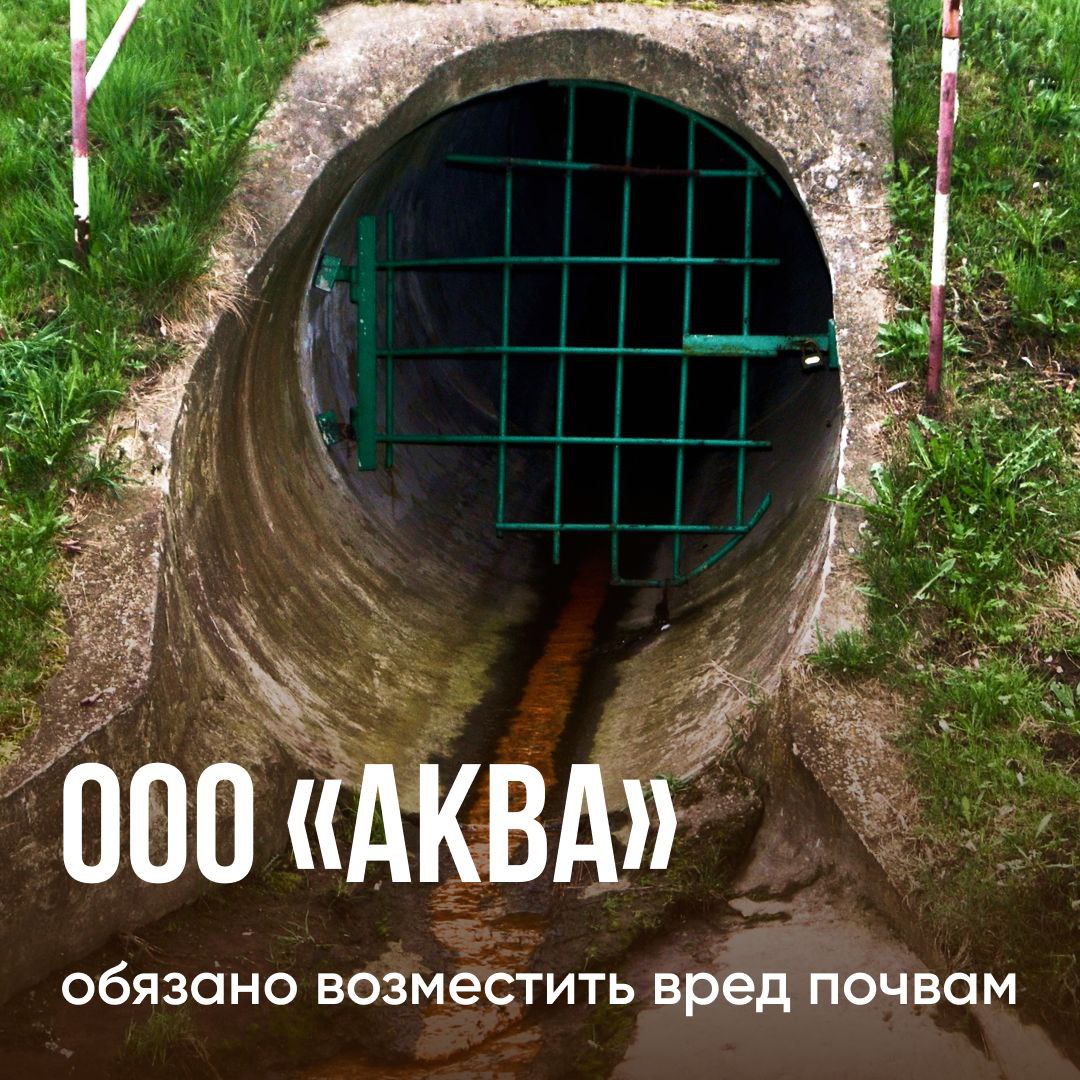 Суд обязал ООО «Аква» выплатить 191 145 рублей за вред причиненный почвам