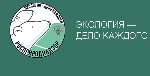 Сотрудники Росприроднадзора вручили сладкие призы воспитанникам садика за участие в акции «Новогодняя экоигрушка» 