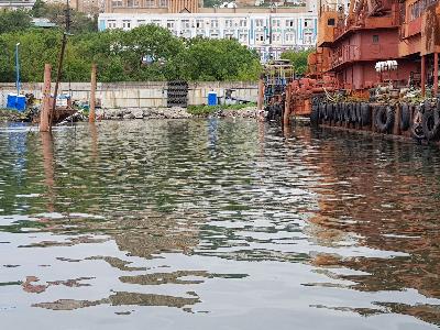 Дальневосточное управление Росприроднадзора намерено через суд взыскать с ООО «ИНТО» почти 69 млн рублей за вред бухте Золотой рог 