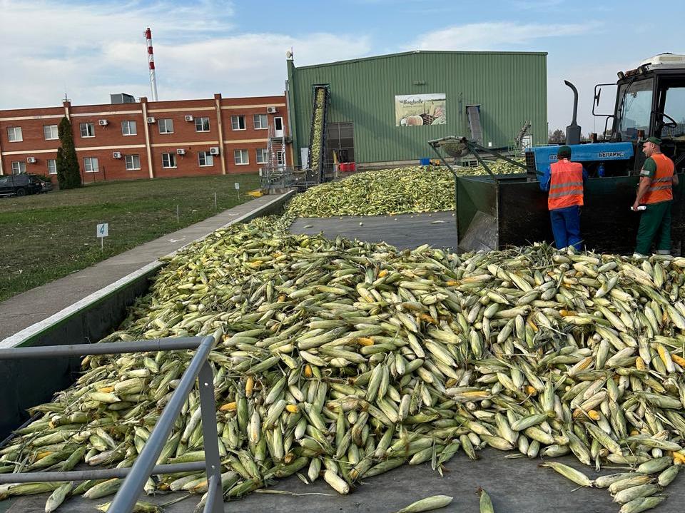 Росприроднадзор планово проверил предприятие ООО «Бондюэль-Кубань» в станице Новотитаровской