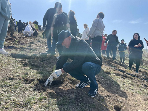 В посадке памятного геоглифа «100 лет Карачаево-Черкесской Республике» приняли участие сотрудники регионального филиала ЦЛАТИ