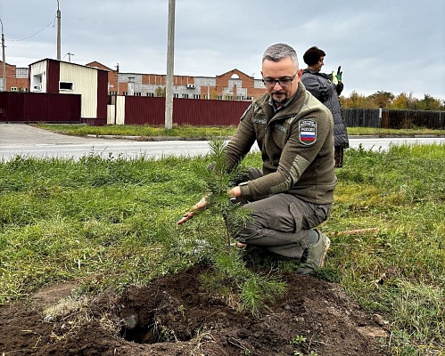 В Республике Хакасия сотрудники Росприроднадзора приняли участие в высадке саженцев деревьев