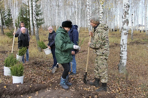 В Татарстане сотрудники Росприроднадзора приняли участие в посадке деревьев в рамках Всероссийской акции «Сохраним лес»