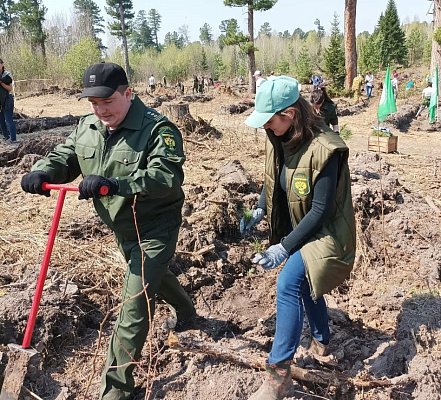 Сотрудники Сибирского управления Росприроднадзора приняли участие в международной акции «Сад памяти»