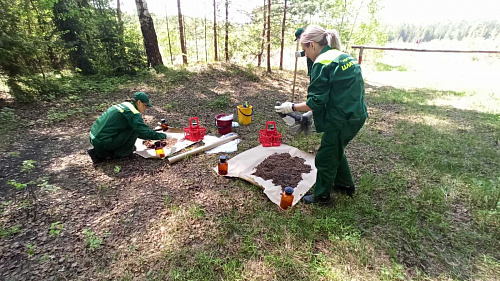 Полигон ТБО в Семеновском районе Нижегородской области эксплуатируется с нарушениями природоохранных норм и требований