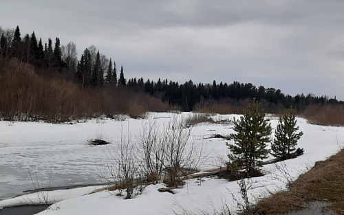 Инспекторы Уральского управления Росприроднадзора проверили водоохранную зону р. Каква