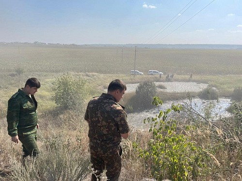 В рамках Федерального проекта «Генеральная уборка» Волжско-Камским межрегиональным управлением Росприроднадзора проведено обследование объекта НВОС в Апастовском районе Республики Татарстан