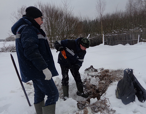 В Новгородской области по материалам Росприроднадзора возбуждено уголовное дело о причинении ущерба почвам на 8,5 млн рублей