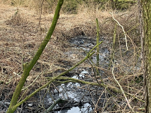 Гурьевский водоканал допустил загрязнение трех водных объектов Калининградской области