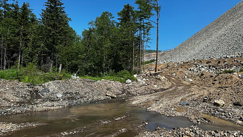 В деятельности дальневосточного ООО «Ресурсы Албазино» выявлено 29 нарушений требований законодательства