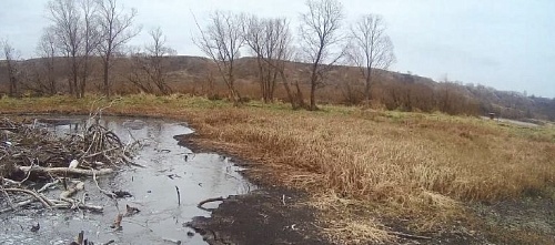 По результатам выездного обследования р. Ока в районе г. Спасск-Рязанский в Рязанской области зафиксирован факт загрязнения