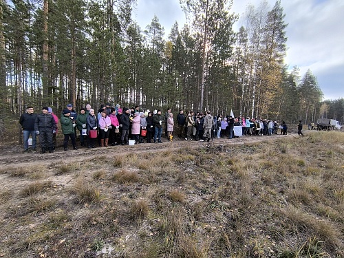 В Республике Марий Эл в рамках акции «Лес Победы» высадили 18 тыс. саженцев сосны