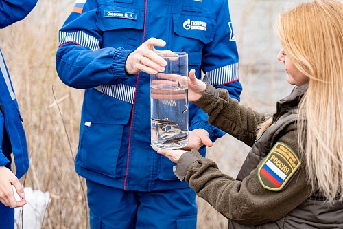 В Оренбурге сотрудники Росприроднадзора приняли участие в выпуске мальков стерляди в реку Урал