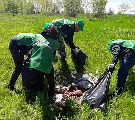 Росприроднадзор и Фонд «Экология» провели акцию по расчистке водоохранной зоны реки Дон