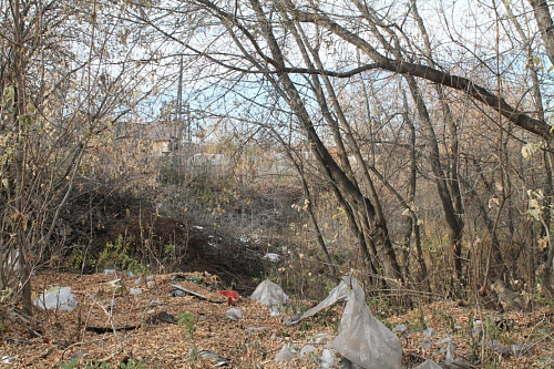 В ходе рейда инспекторами Росприроднадзора выявлена свалка в водоохранной зоне р. Тобол