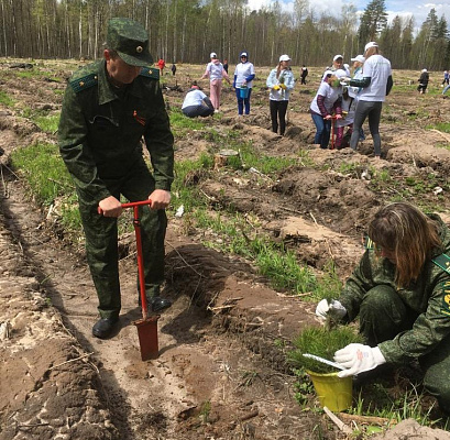 Сотрудники Росприроднадзора внесли свой вклад в создание «Сада памяти» в Мордовии