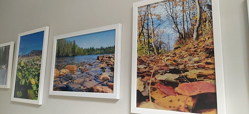 В Перми сотрудники Росприроднадзора создали фотовыставку, приуроченную к празднованию Дня России