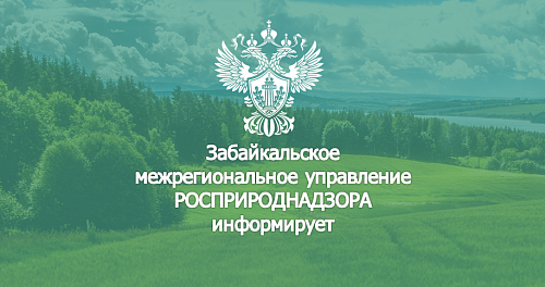 О проведении государственной экологической экспертизы федерального уровня проектной документации «Строительство морозильной камеры в колбасном цехе  СХПК «Усольский свинокомплекс»