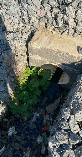 АО «НДК» и ООО «Главрегионстрой Румянцево» сбрасывают сточные воды с превышением предельно допустимой концентрации вредных загрязняющих веществ