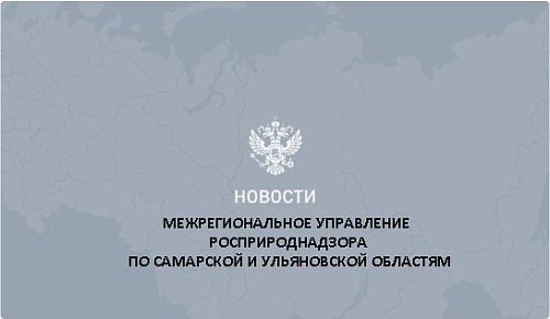 В Самаре сотрудники Росприроднадзора взяли пробы воды и донных отложений р. Волги в рамках реализации проекта «Народная карта»