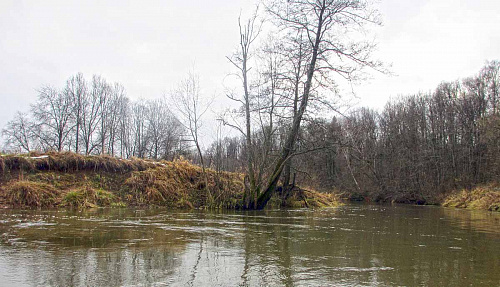 ООО «Стройпромсервис» сбрасывало сточные воды в р. Вороновка