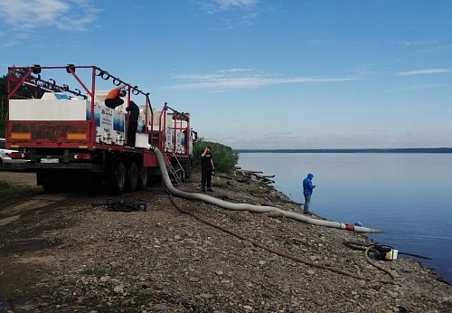 В Красноярском крае сотрудники Росприроднадзора приняли участие в выпуске молоди краснокнижного осетра