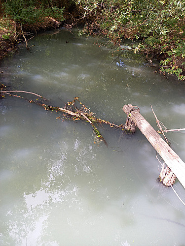 Арбитражный суд Центрального округа обязал Белгородский областной водоканал возместить вред, причиненный р. Тихая Сосна, в размере более 4 млн. рублей