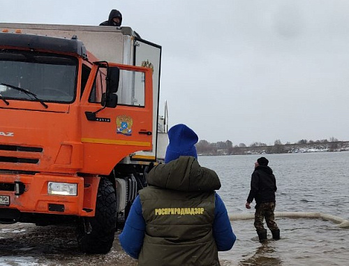 Под контролем инспекторов Росприроднадзора в реку Ока выпустили молодь стерляди