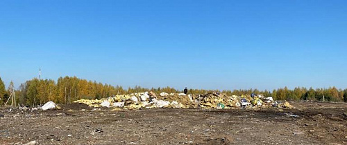 Полигон промышленных и бытовых отходов в Выксунском районе Нижегородской области оказывает негативное влияние на окружающую среду