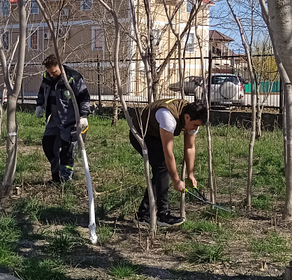 Сотрудники Росприроднадзора приняли участие во Всероссийском субботнике