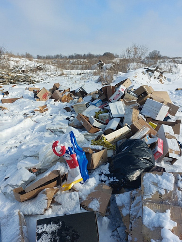 Росприроднадзор продолжает проверку несанкционированной свалки г. Спасск