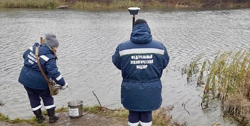 Проведено выездное обследование акватории и водоохранной зоны р. Проня Рязанской области