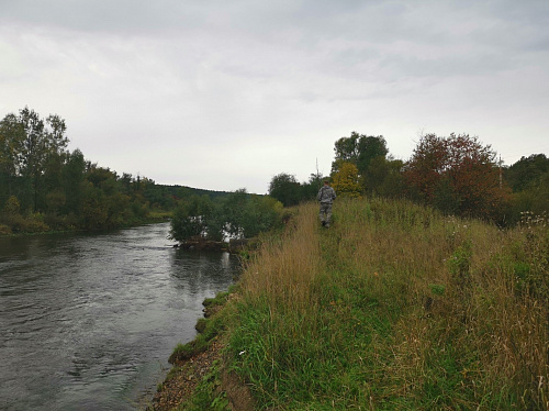 Инспекторы Росприроднадзора провели проверку береговой линии Киалимского водохранилища