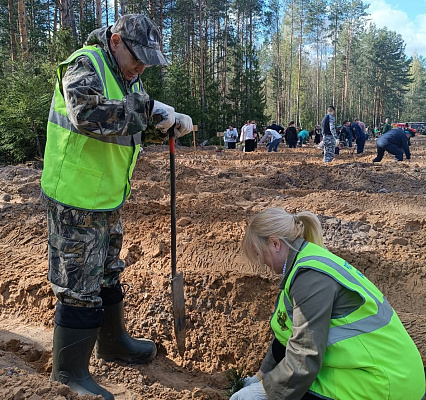 В Кирове сотрудники Росприроднадзора приняли участие в акции «Сад памяти»