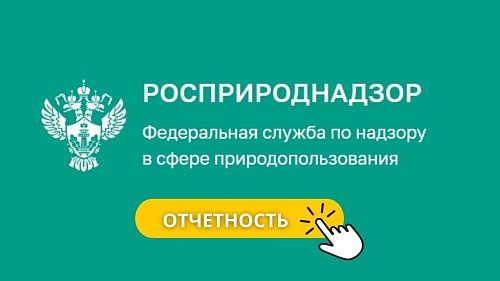 Изменения в предоставление отчетности о выполнении нормативов утилизации отходов от использования товаров по товарам (упаковке)