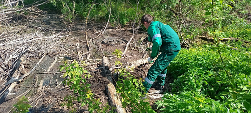 В Чувашии участились случаи несанкционированного  сброса сточных вод на почву