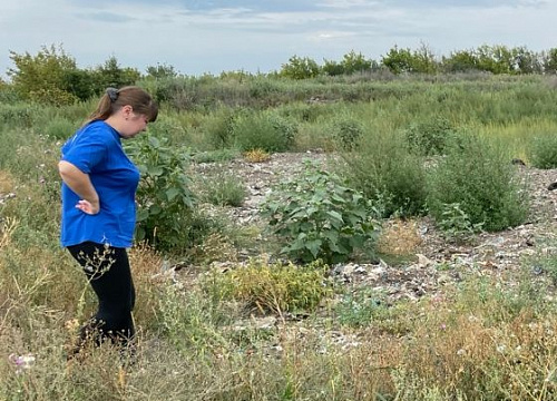 ООО «СТИНЭК» допустило 29 нарушений природоохранного законодательства при рекультивации полигона ТКО в Тамбовской области