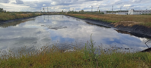 Восемнадцать нарушений природоохранного законодательства выявлено в ходе проверки на кстовском ООО «ЭКОИН-НОРСИ»