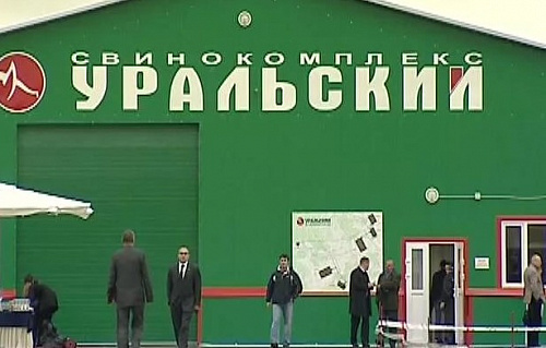 По иску Росприроднадзора суд взыскал с АО «Свинокомплекс «Уральский» более 7 млн рублей