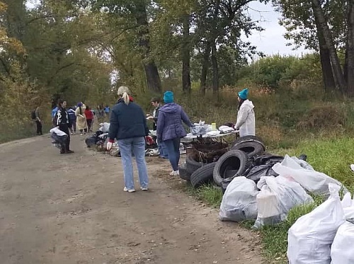 Сотрудники ЦЛАТИ по Енисейскому региону приняли участие в масштабном субботнике – экоквесте «День Енисея»