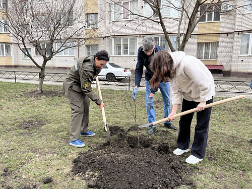 Призер III сезона премии Росприроднадзора «Экология – дело каждого» Маргарита Суханова реализовала проект «Зеленый город» в Ставрополе