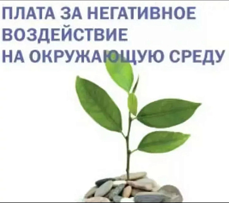 Суд удовлетворил исковые требования Росприроднадзора к ООО «Экосервис-2» о взыскании платы за НВОС 