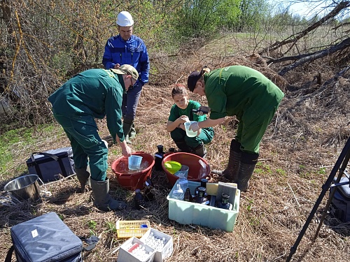 Проверка нижегородского Росприроднадзора подтвердила факт загрязнения реки Чугунки местным спиртзаводом 